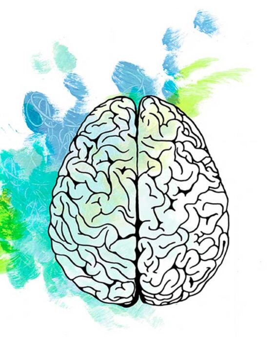 Sabies que… La demència i l’Alzheimer estan relacionades encara que són malalties diferents