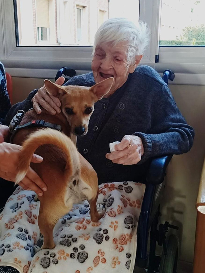 Grup Lantus incorpora la actividad de la caninoterapia en su residencia de mayores Mare Ràfols en Vilafranca del Penedés