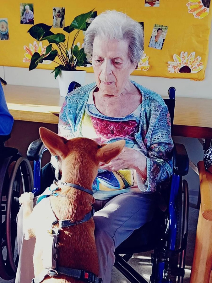 Grup Lantus incorpora la actividad de la caninoterapia en su residencia de mayores Mare Ràfols en Vilafranca del Penedés