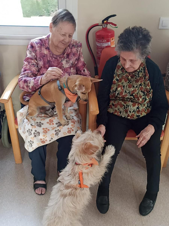 Grup Lantus incorpora la actividad de la caninoterapia en su residencia de mayores Mare Ràfols en Vilafranca del Penedés
