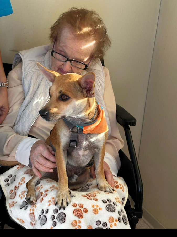 Grup Lantus incorpora la actividad de la caninoterapia en su residencia de mayores Mare Ràfols en Vilafranca del Penedés