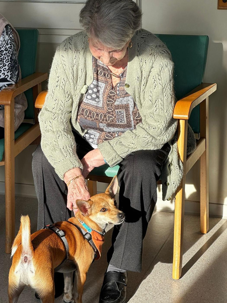 Grup Lantus incorpora la actividad de la caninoterapia en su residencia de mayores Mare Ràfols en Vilafranca del Penedés