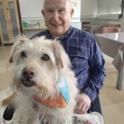 En las residencias del Grup Lantus aplicamos la caninoterapia como actividad terapéutica