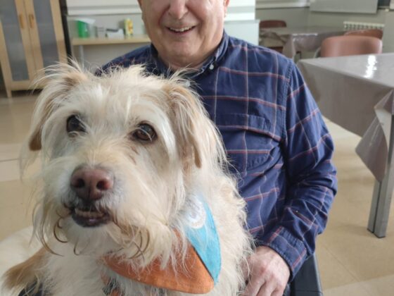 Sabías que… La caninoterapia tiene un gran poder en la tercera edad