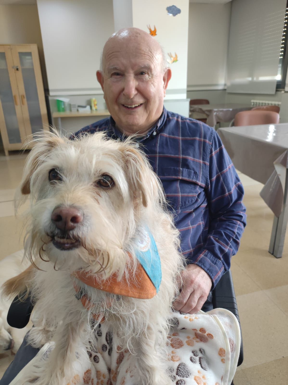 En las residencias del Grup Lantus aplicamos la caninoterapia como actividad terapéutica