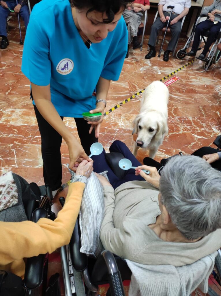 En las residencias del Grup Lantus aplicamos la caninoterapia como actividad terapéutica