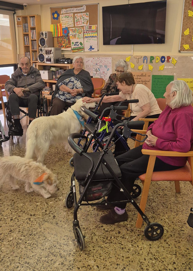 En las residencias del Grup Lantus aplicamos la caninoterapia como actividad terapéutica